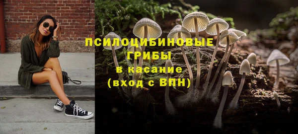 мескалин Инсар