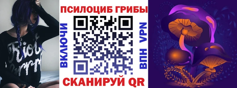 Псилоцибиновые грибы мицелий  Яровое 