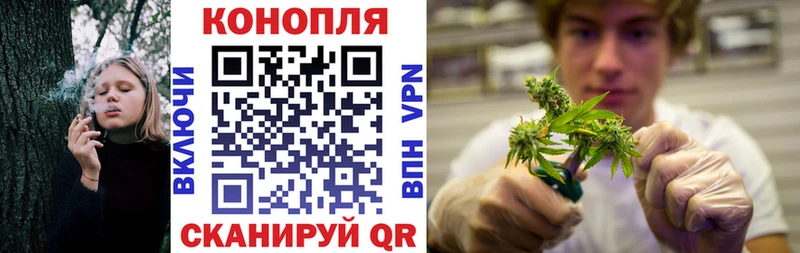 Шишки марихуана AK-47 Яровое